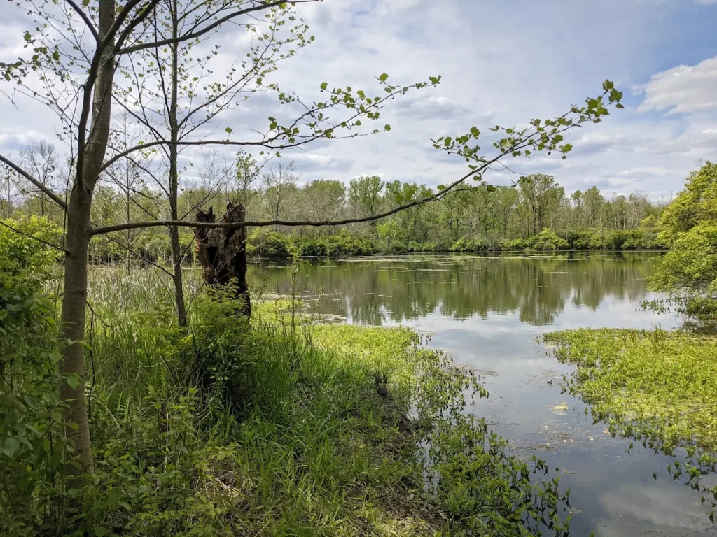 An exterior shot of the Rangeline Nature Preserve in Anderson, Indiana
